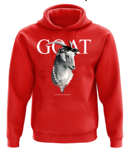 Boys Goat Hoody